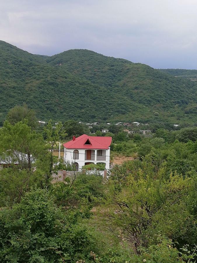Villa "Zepuri" Dushet'i Eksteriør bilde